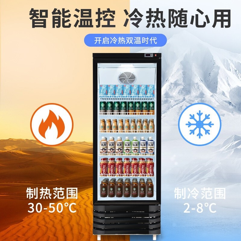 飞天鼠(FTIANSHU) 热饮柜商用超市便利店展示柜冷藏柜酒水食品牛奶咖啡饭菜保温柜饮料加热柜 双温冷热柜230L