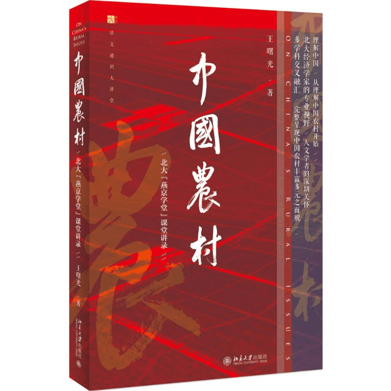 醉染图书中国农村9787301286708图片