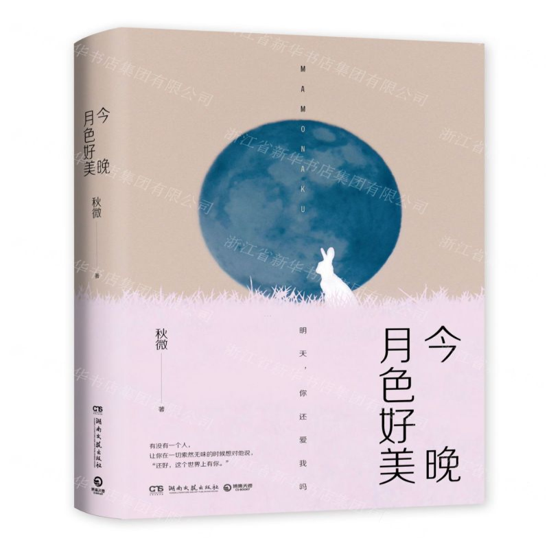 [M]今晚月色好美-9787540494070高清大图