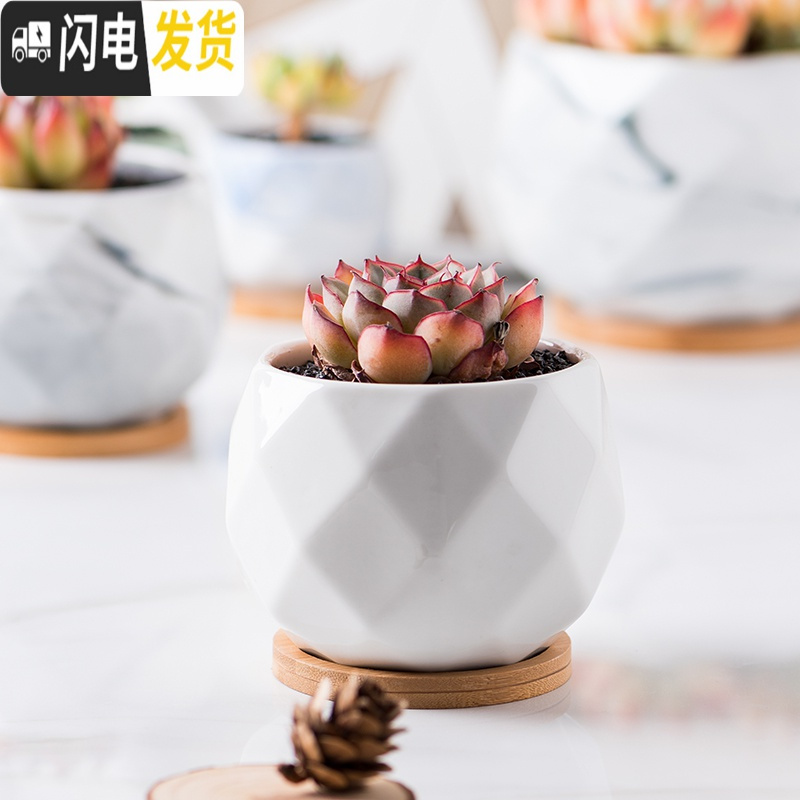 三维工匠多肉花盆创意个性大理石纹陶瓷植物肉肉北欧小花盆大口径带托盘 蓝色菱形带竹托 小花盆容器