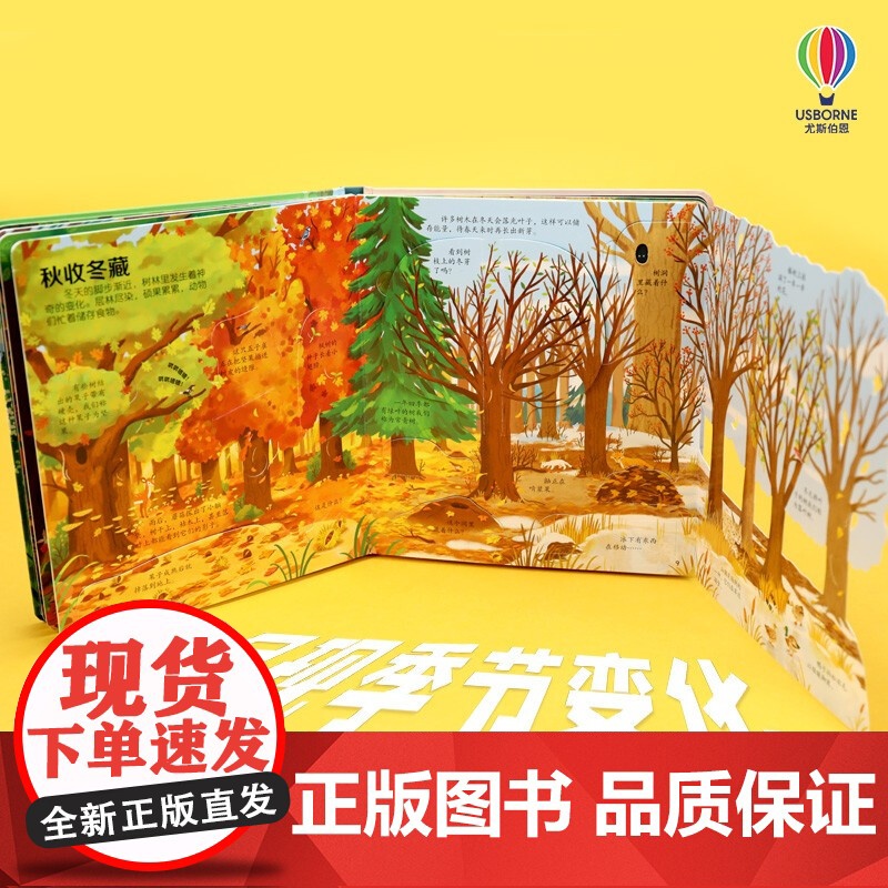 揭秘森林 3-6岁 英国尤斯伯恩出版公司 著 科普百科高清大图