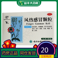 云丰 风热感冒颗粒 10g*6袋/盒[js]