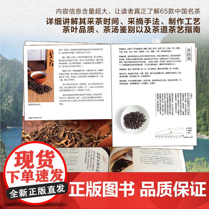 寻茶记-中国茶叶地理 13大产茶区 65款名茶制作工艺冲泡技巧 茶叶百科全书茶文化大全知识入门茶艺茶道茶经类书籍识茶泡高清大图