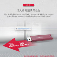 金士顿(Kingston) SSD固态闪存盘 u盘高速固态U盘 高速写入商务电脑办公DTMAXA 256G 读1000M