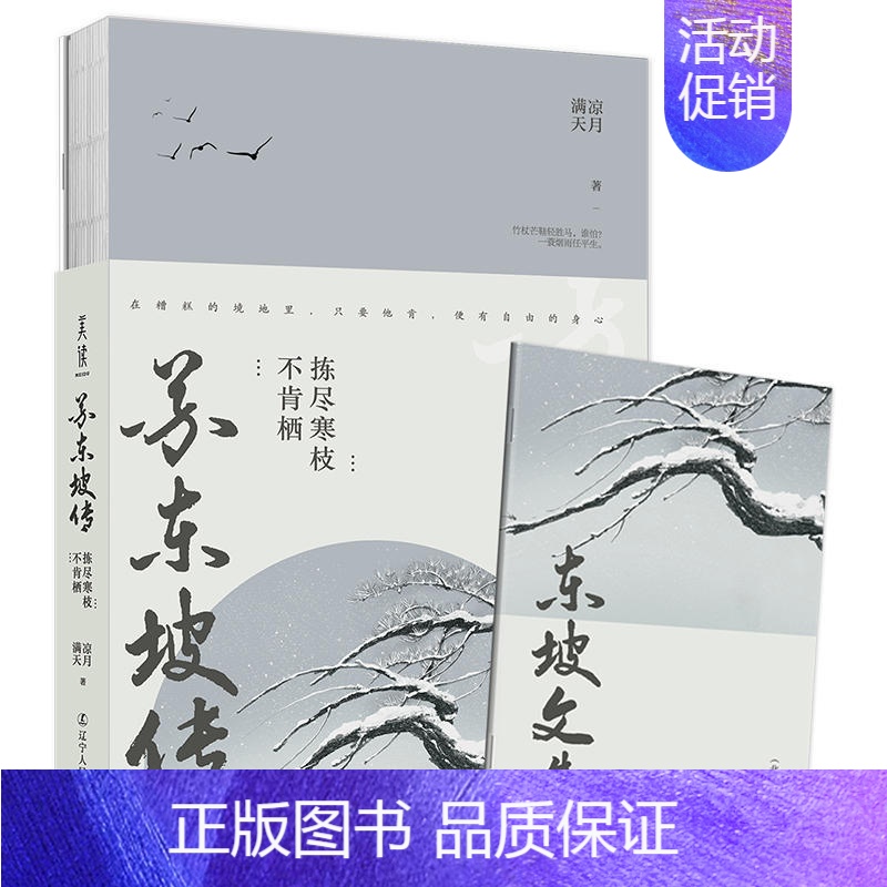 [正版]苏东坡传(附东坡文选拣尽寒枝不肯栖) 名人传记人物传记 书籍 豪放派词人宋朝大文学家苏轼传记图书籍 苏轼诗词集