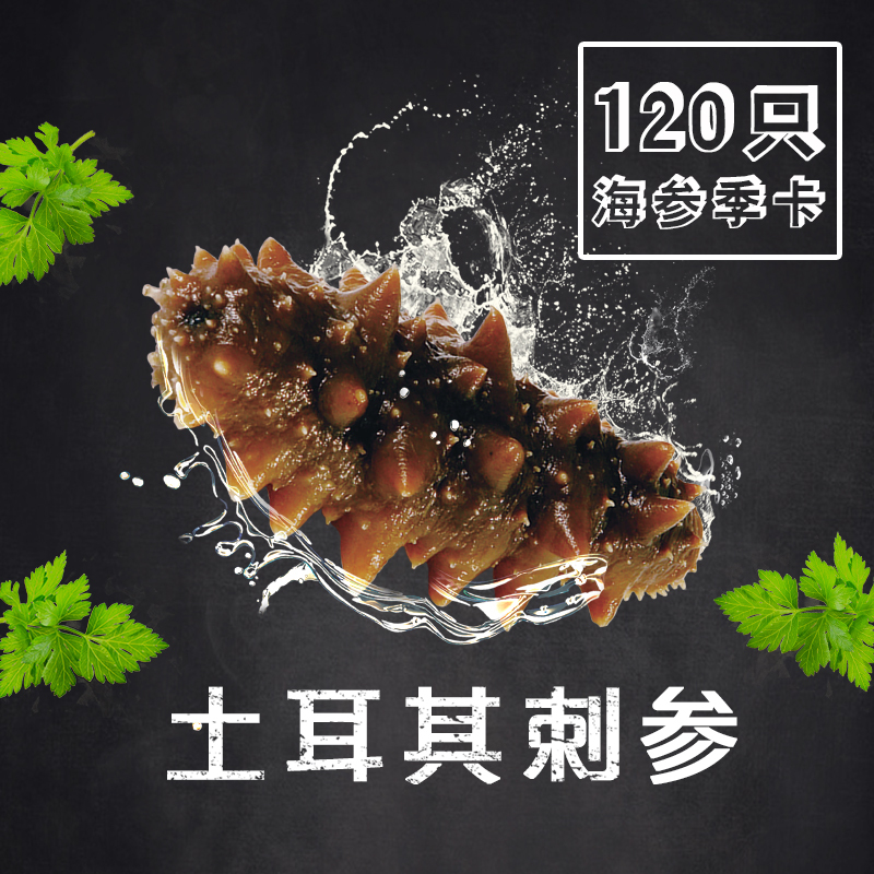 即食海参土耳其进口野生刺参季度卡120只