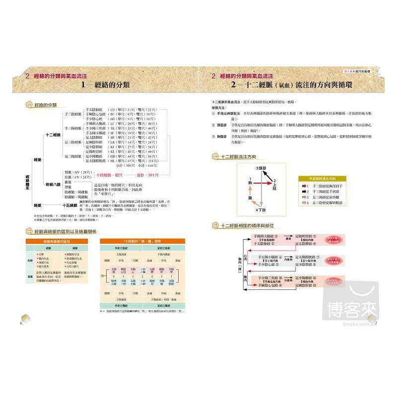 [正版] 人体经穴地图彩色增订版(第2版)王晓明 原版进口书 医疗保健高清大图