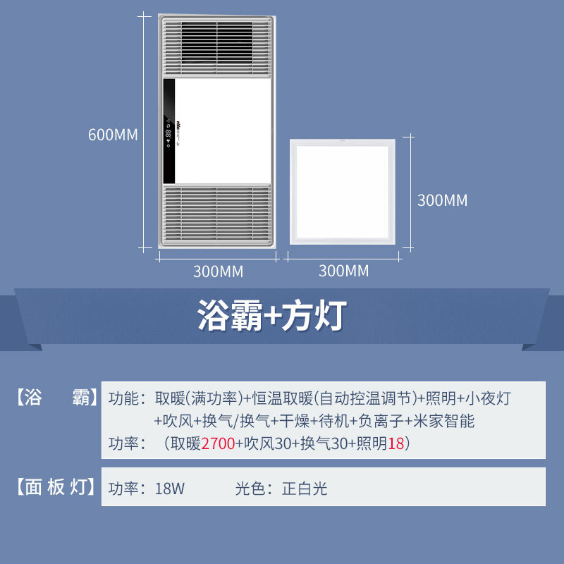 雷士(NVC)EBBB10002 D款浴霸+方灯 300*600