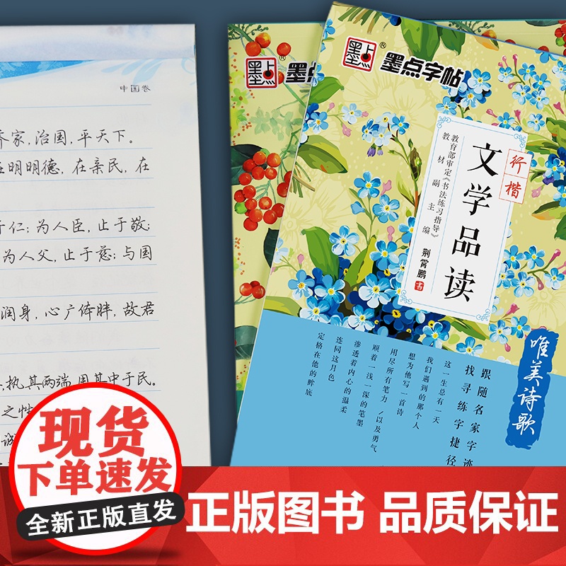 [正版书籍]墨点字帖 文学品读唯美诗歌经典散文荆霄鹏名师手写体 成人大学生男女漂亮字行楷练习字帖高清大图