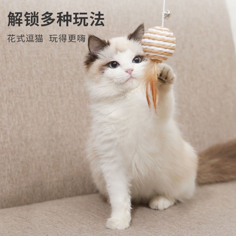 猫玩具逗猫棒耐咬猫薄荷球猫猫玩具套装猫咪玩具自嗨小猫幼猫用品 编织老鼠