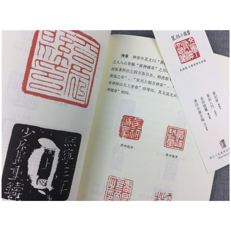[正版]旗舰篆刻小丛书 治印谈丛 潘天寿著篆刻理论工具字典书/治印的理论知识/学习篆刻入门教程 篆刻印章书籍