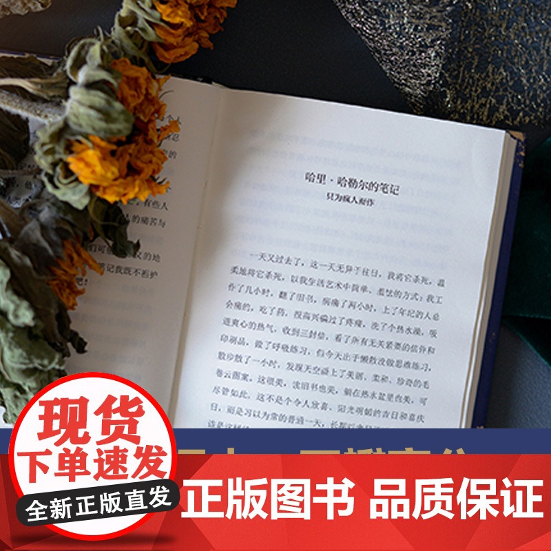 荒原狼(黑塞精选集)豆瓣高分译本,名家德语直译,收录黑塞亲笔画赫尔曼·黑塞 著 王滨滨 译 译林出版社 正版书籍高清大图