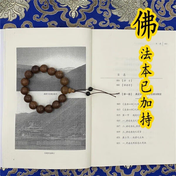 《印》金刚密乘大yuian满~突破轮回之道 丹贝旺旭仁波切高清大图