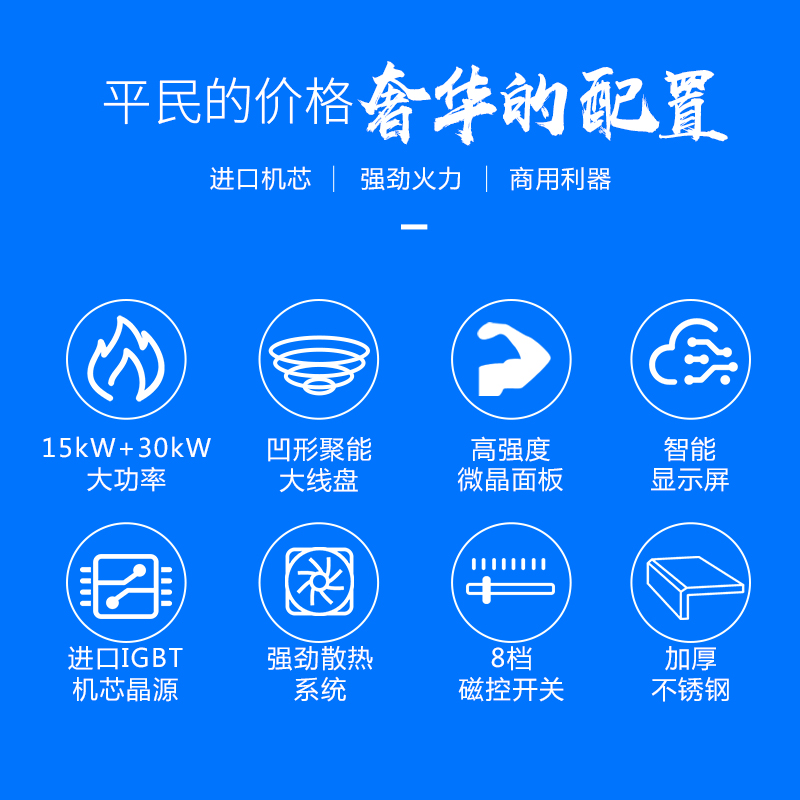 圣托(Shentop)小炒大炒组合电磁炉 酒店饭店商业电炒炉 小炒加大炒组合灶 DCB14高清大图