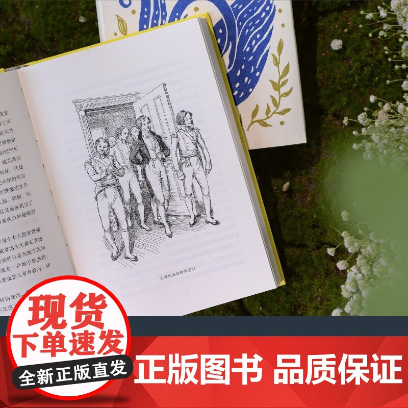 简 奥斯丁文集 傲慢与偏见 简·奥斯丁 著 小说高清大图