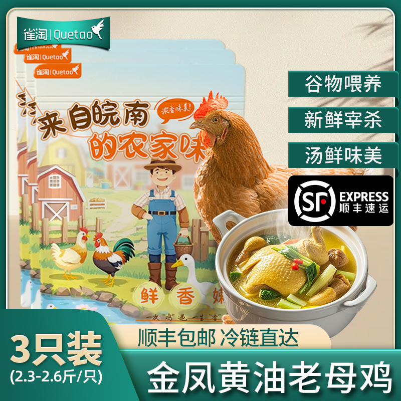 【苏鲜生推荐】雀淘 皖南金凤黄油老母鸡2.3-2.6斤/只 3只装 新鲜现杀冷冻农家慢养走地鸡