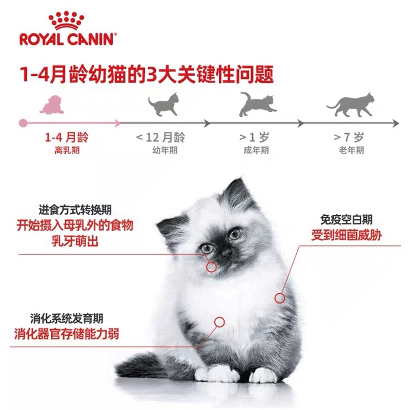 皇家进口猫罐头主食罐幼猫奶糕慕斯罐头猫咪零食猫湿粮增肥发腮