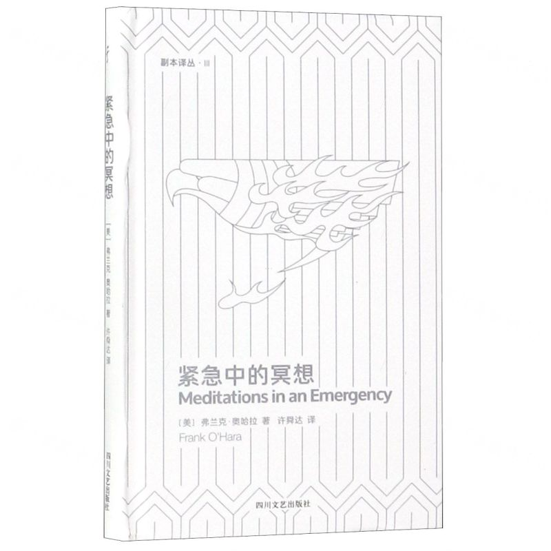 [N]紧急中的冥想(精)/副本译丛-9787541148866高清大图