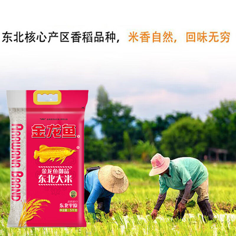 金龙鱼 御品东北大米5kg/袋高清大图