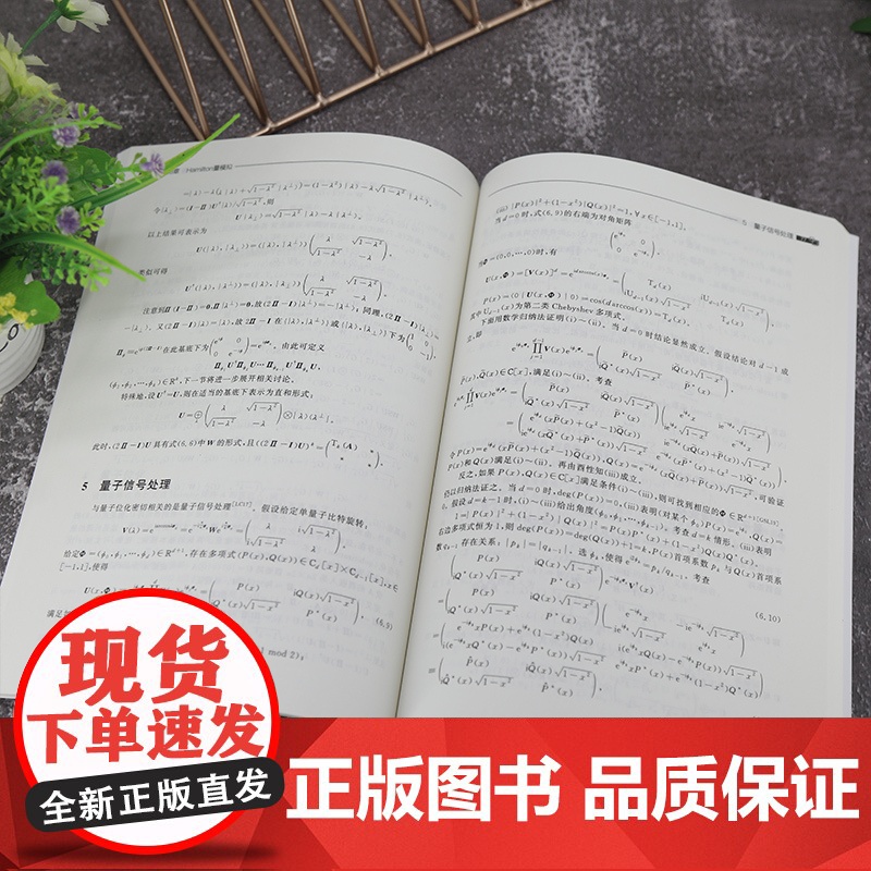 [正版新书] 量子数值代数 向华 清华大学出版社 信息与计算科学数学类教材高清大图