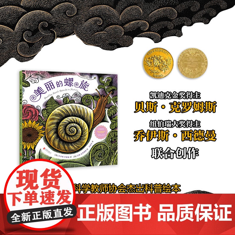 美丽的螺旋 中英双语 走近科学 走进大自然 夜色下的小屋 艺术启蒙高清大图