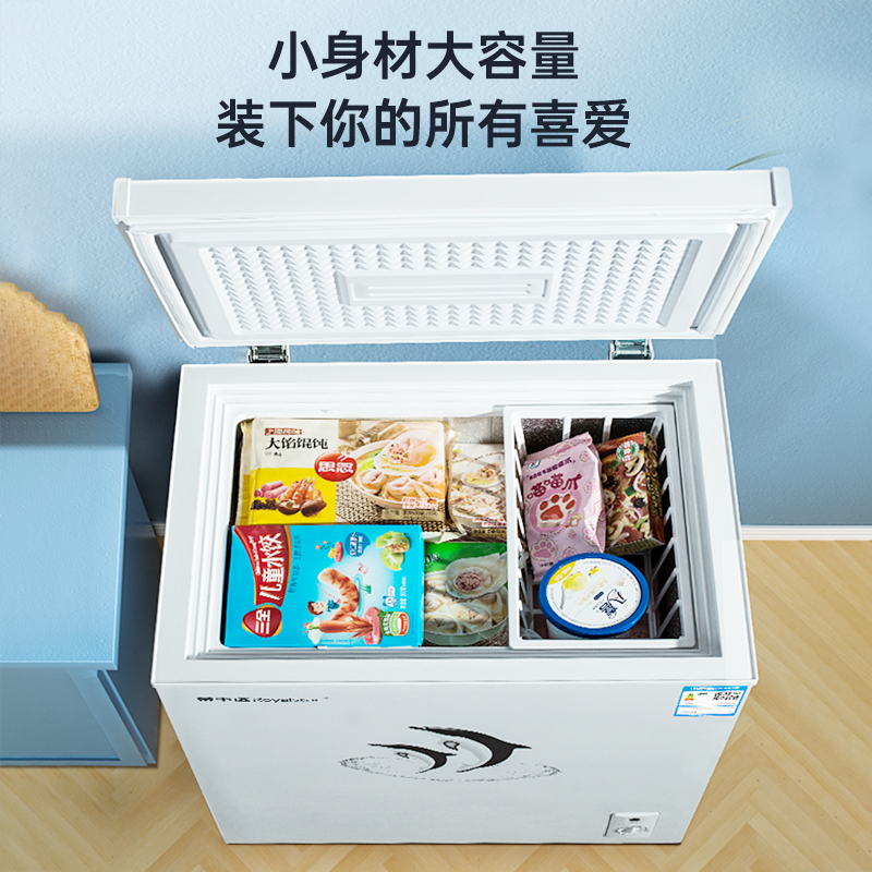 Royaistar荣事达1348小冷柜一级能效家用小型冰柜冷冻冷藏保鲜柜速冻冷柜_228一级能效可放200斤肉
