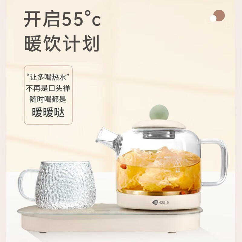 艾青春(AIYOUTH)多功能保温煲煮开水壶分体式二合一养生电水壶 KBE305 0.9L高清大图