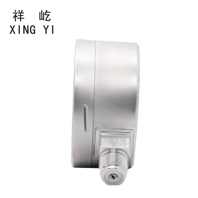 祥屹 不锈钢耐震压力表检测定制型 YTN100BF 块图片