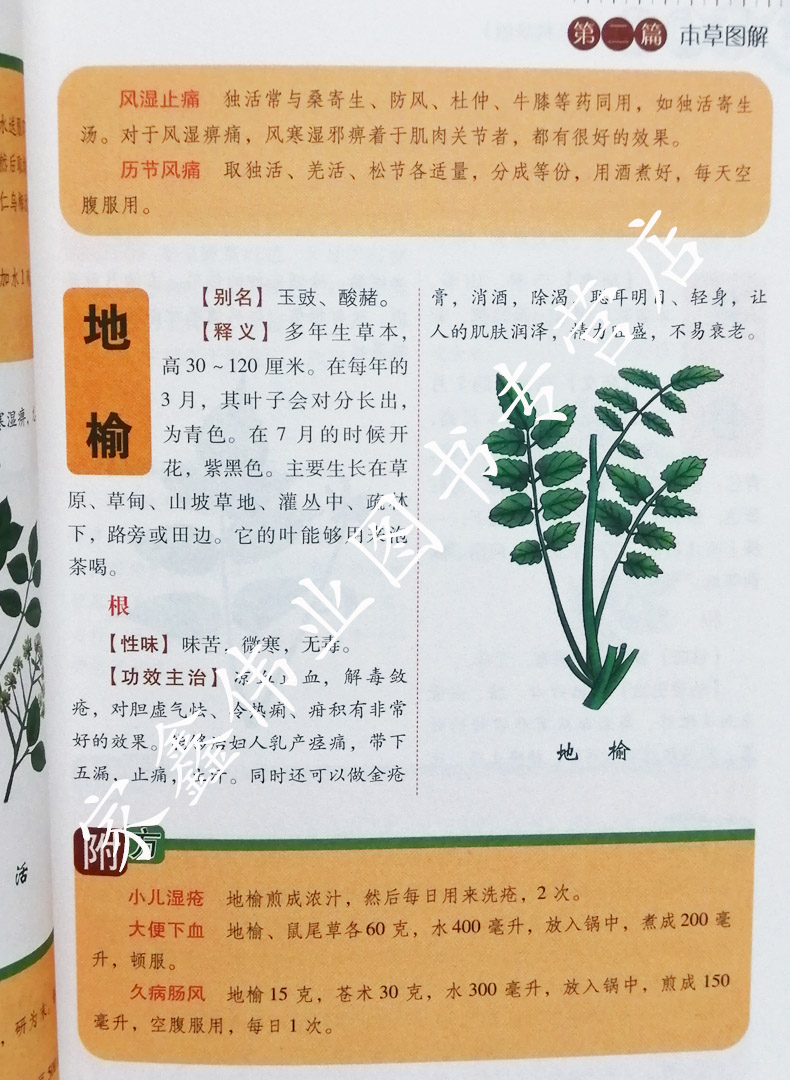 [醉染正版]中医书籍新编药酒书大全本草纲目泡脚良方药酒配方书籍足浴中草药中医泡酒配方中药书籍中草药配方用药书籍大全套3册高清大图