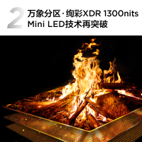 TCL 98T6L 98英寸量子点 512分区 蝶翼玄晶屏 安桥2.1 QD-MiniLED电视机