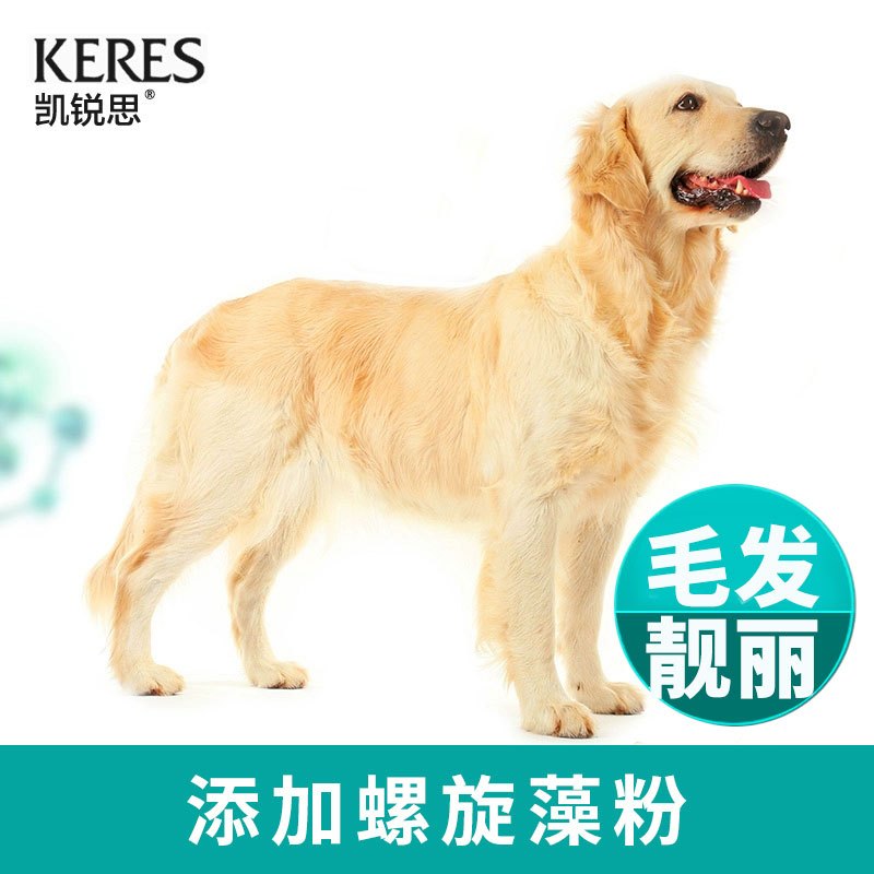 凯锐思金毛狗粮幼犬成犬专用中大型犬专用粮补钙3-6个月补钙4斤