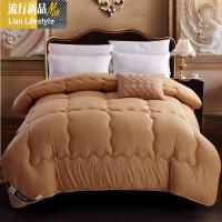 冬被子1.8春秋夏天薄被芯双人180*200*230冬季单人1.5棉被 三维工匠