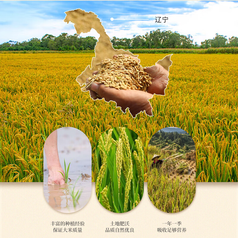 咪然 梗米一级长粒香鲜米 5kg(单位:袋)真空包装高清大图