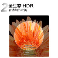 TCL智屏 55P12 55英寸彩电 QLED原色量子点 超薄全面屏 智慧屏 AI人工智能液晶平板电视机