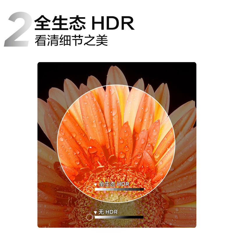 TCL智屏 55P12 55英寸彩电 QLED原色量子点 超薄全面屏 智慧屏 AI人工智能液晶平板电视机