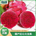 【苏鲜生】云南金都一号红心火龙果 净重4.8斤 大果 箱装 热带水果 当季新鲜水果