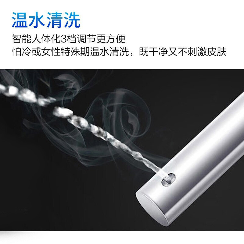 松下智能马桶盖DL-1310CWS高清大图