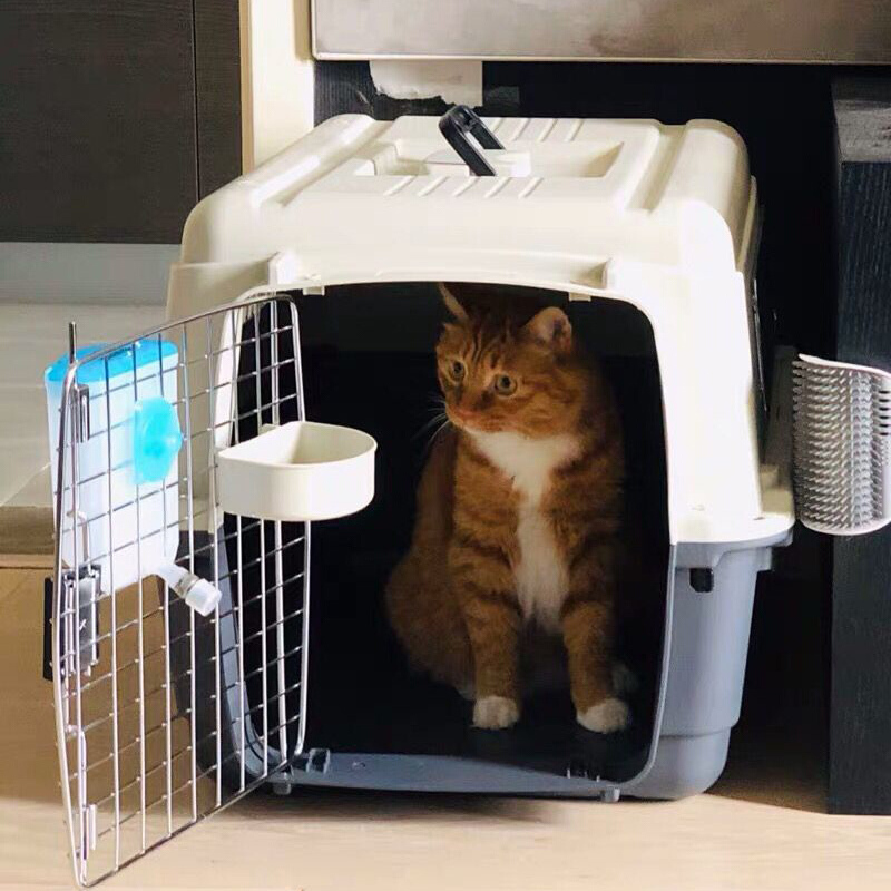 宠物航空箱狗旅行箱猫咪泰迪金毛托运空运箱
