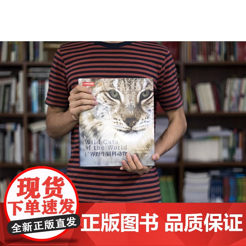 世界野生猫科动物中国国家地理全景猫盟百科全书珍惜野生哺乳动物猫科动物种类大全生物图鉴书籍神秘野生动物大猫咪图书集DL高清大图