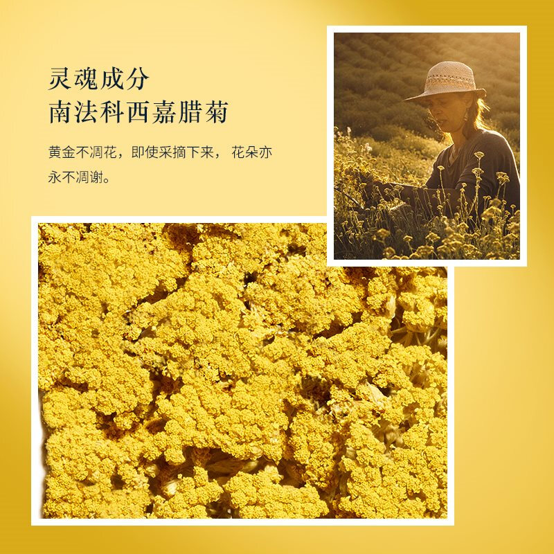 欧舒丹腊菊精萃活颜洁面泡沫150ml[单瓶装]专柜直供高清大图
