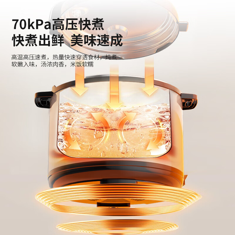 先锋(SINGFUN) QT-X1-50-B-D 电压力锅高清大图