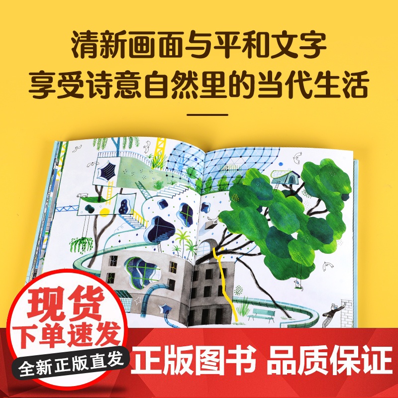 一棵歪打正着的树高清大图