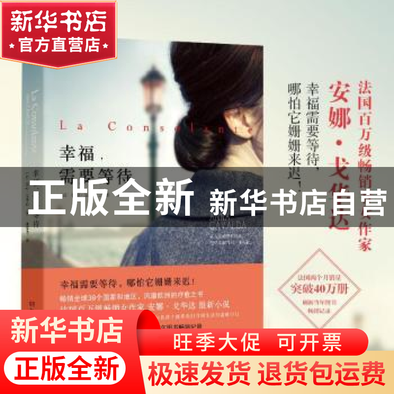 正版 幸福需要等待 (法)安娜·戈华达(Anna Gavalda)著 湖南文艺出高清大图