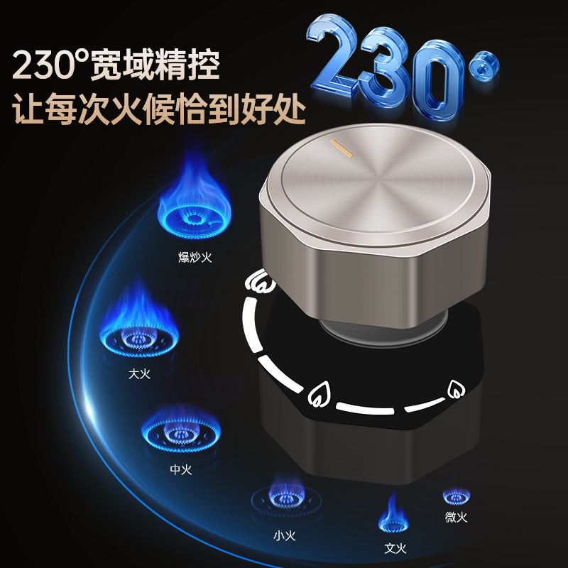 樱雪INSE燃气灶天然气双灶具 家用5.2kW定时聚能猛火灶灶台嵌两用 70%高热效可调节底盘Q8D高清大图