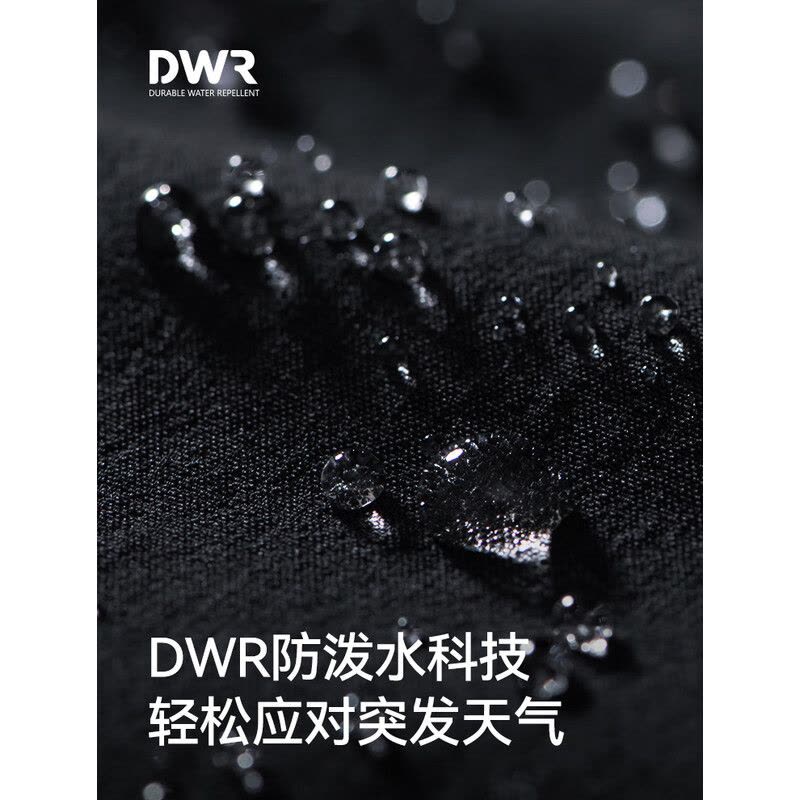 伯希和女款软壳裤图片