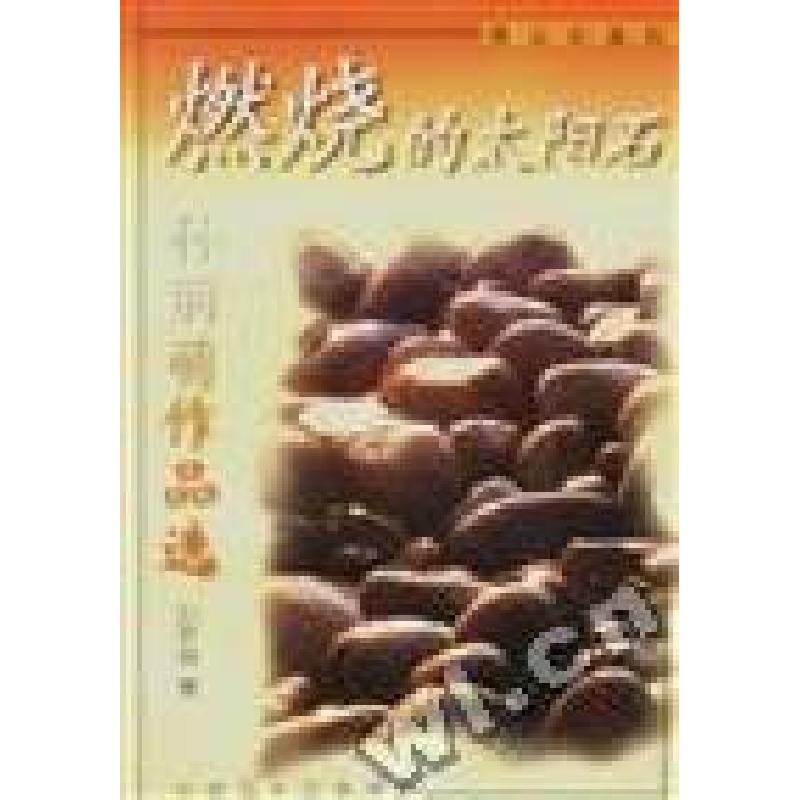 正版新书】燃烧的太阳石--孙丽萌作品选孙丽萌张蓉9787501419593