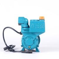 定做 直流自吸泵 家用48V自吸抽水泵 电瓶车抽水泵 12v 直流增压泵
