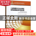 小波有限元方法及其在结构健康监测中的应用