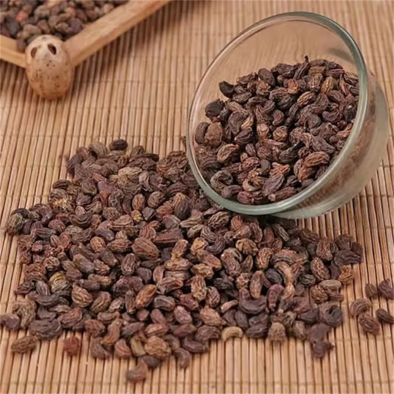 甄选女贞子100克干货正品新货冬青子泡水泡酒另售黄精9260高清大图