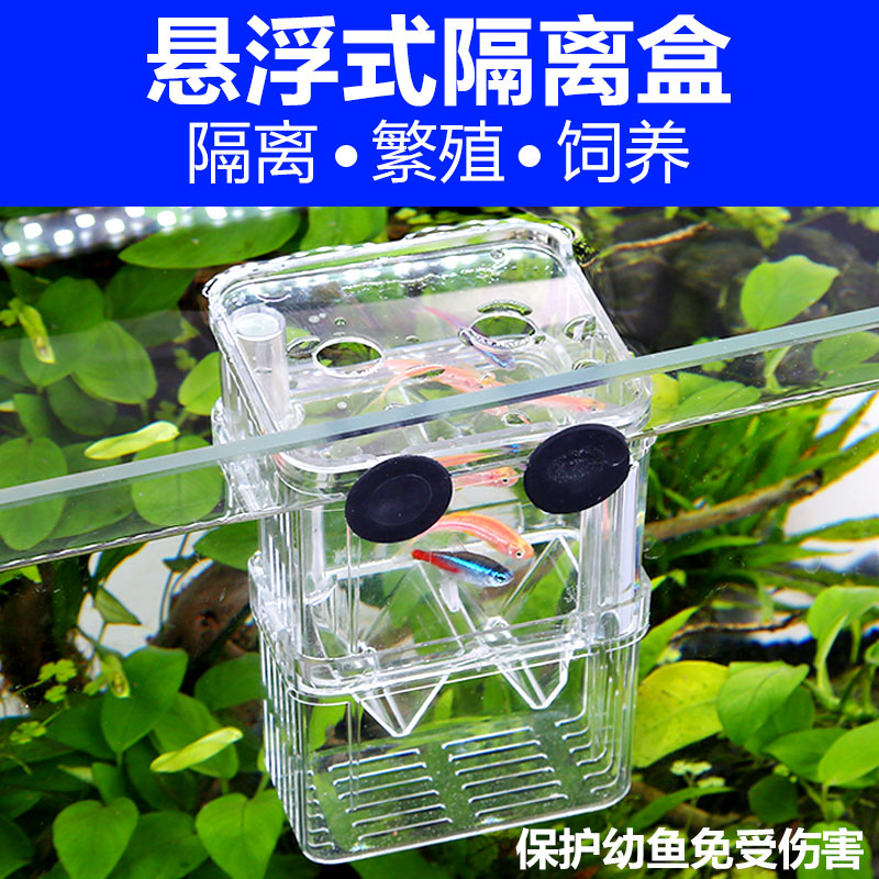 幼鱼孵化盒孔雀鱼繁殖器隔离盒双层自浮式鱼苗盒斗鱼盒繁殖盒高清大图